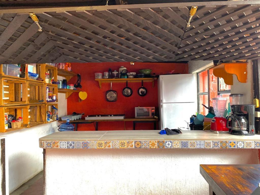 Berlin61 Hotel San Cristobal de las Casas Luaran gambar