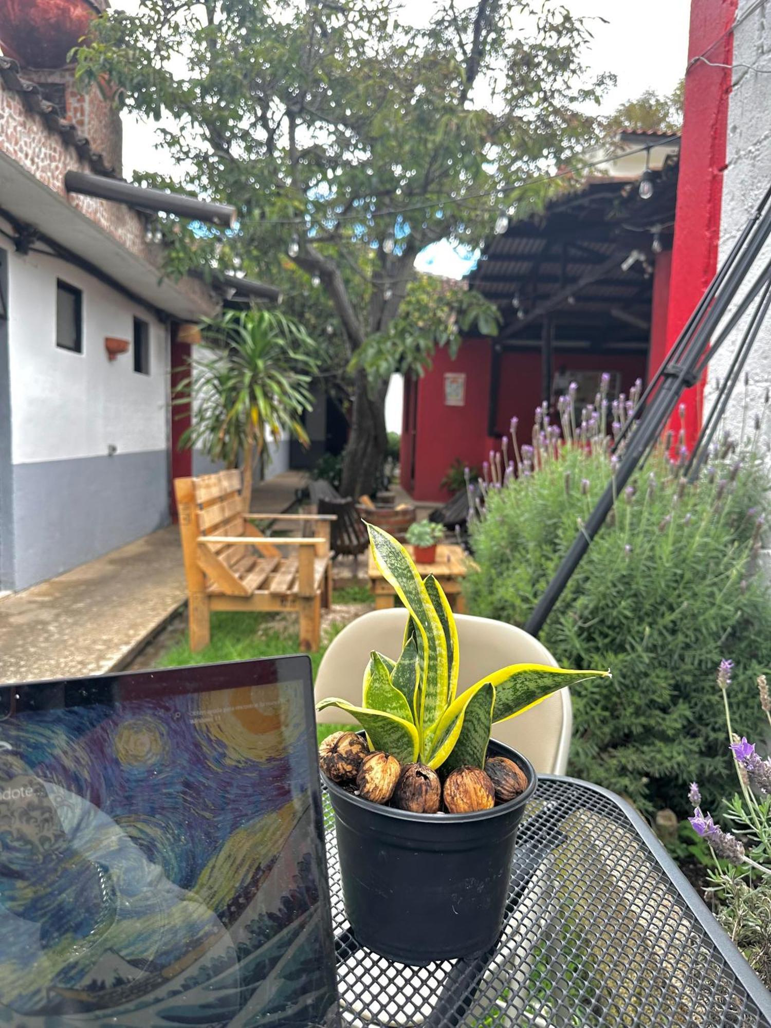 Berlin61 Hotel San Cristobal de las Casas Luaran gambar